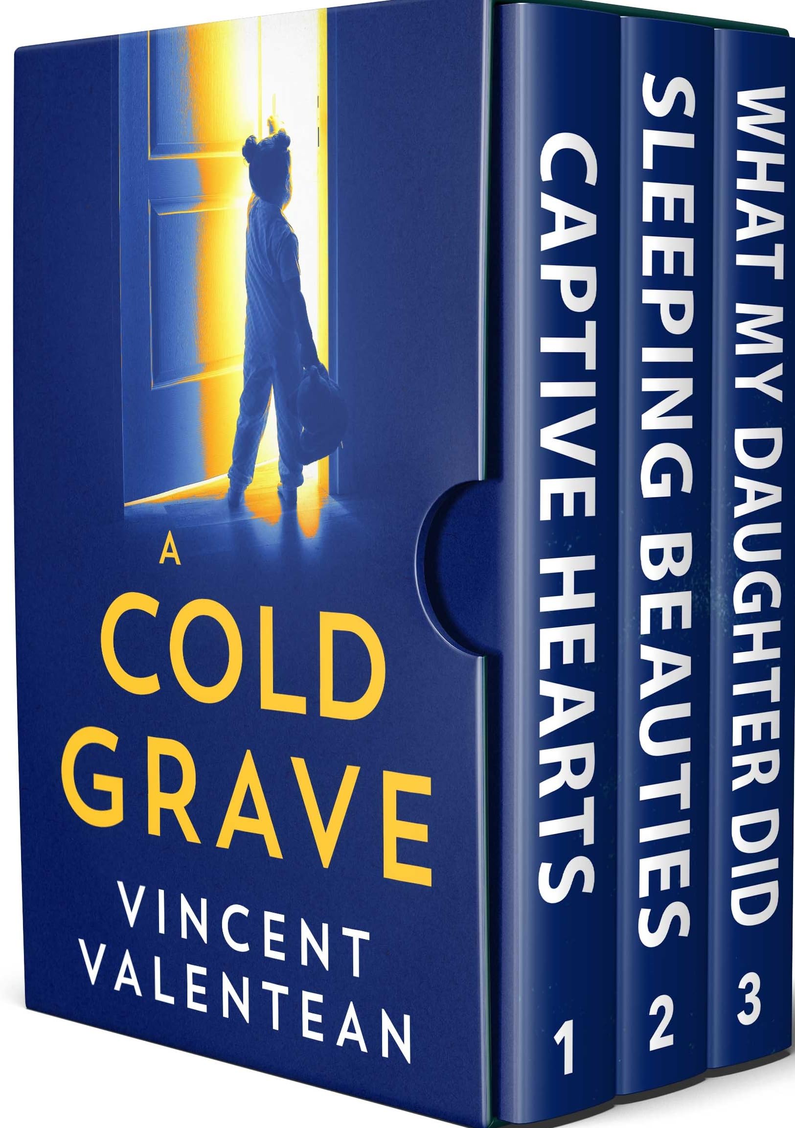 A Cold Grave book cover