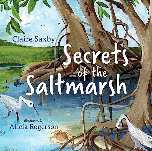 Secrets of the Saltmarsh