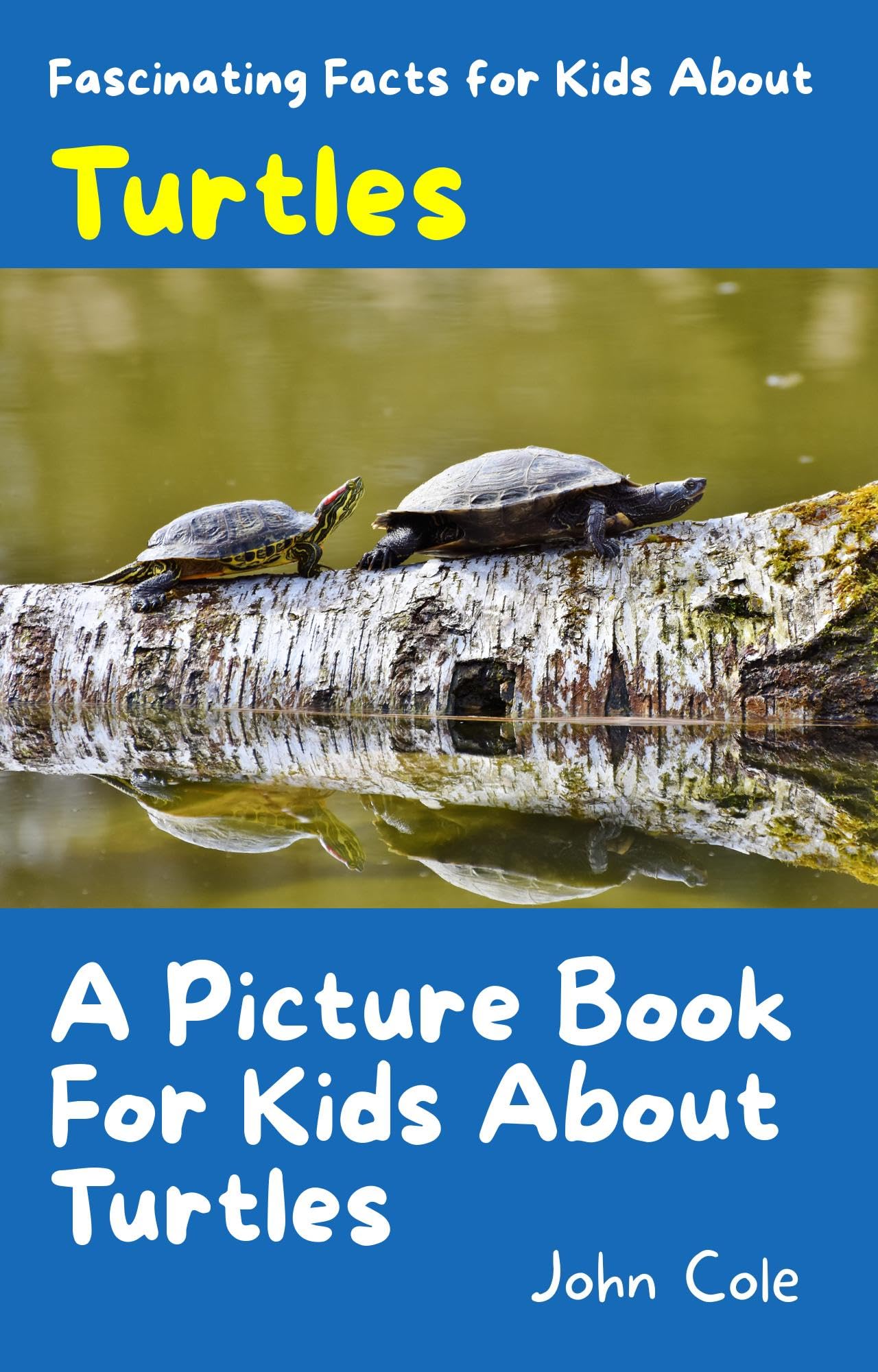 A Picture Book for Kids About Turtles Fascinating Facts for Kids About