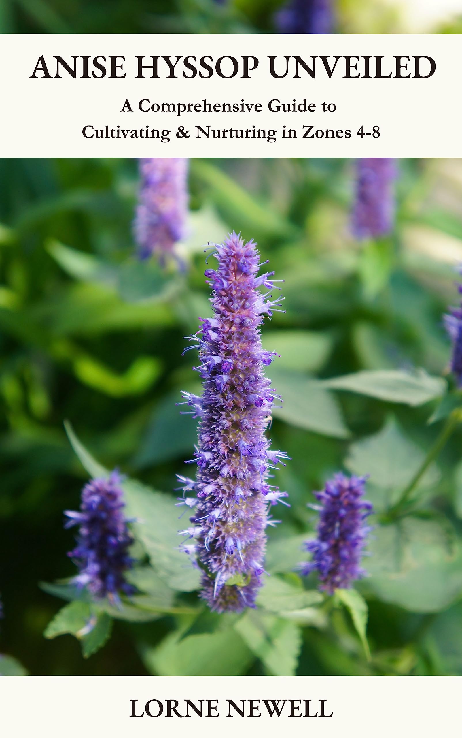 Anise Hyssop Unveiled A Comprehensive Guide to Cultivating and
