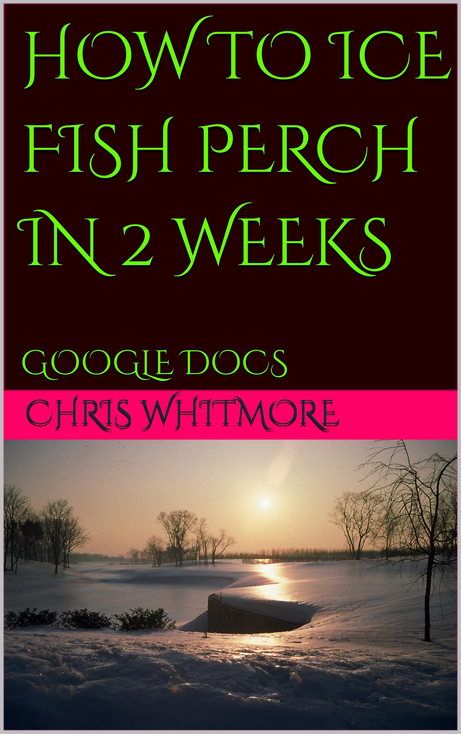HOW TO ICE FISH PERCH IN 2 WEEKS GOOGLE DOCS by CHRIS WHITMORE Goodreads