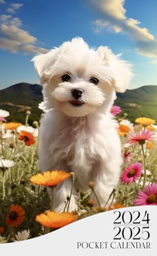 Pocket Calendar 2024-2025: 2 Years Planner for Purse Small Size Monthly