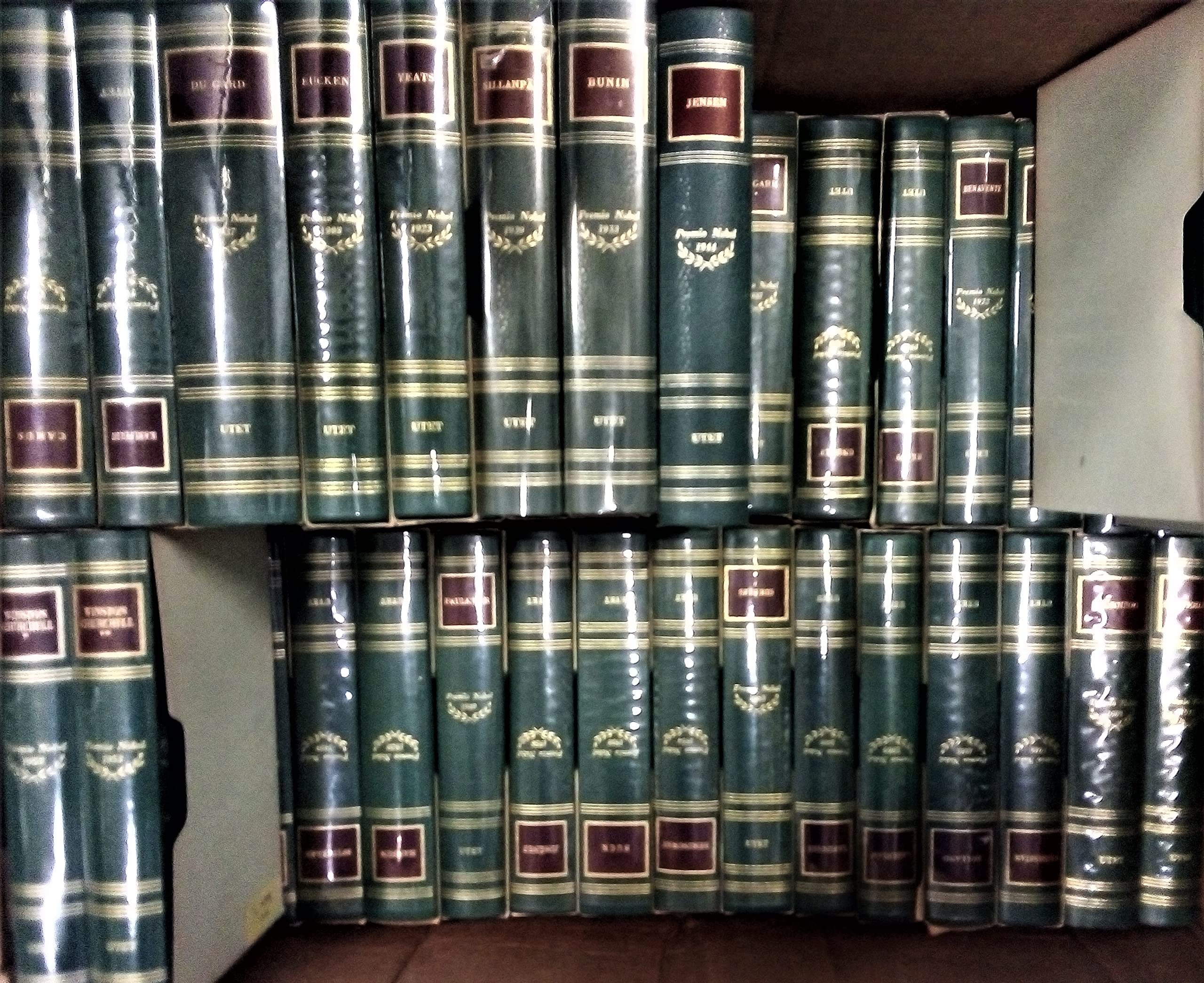 E non disse nemmeno una parola - Racconti umoristici e satirici - Opinioni di un clown - La mia musa book cover