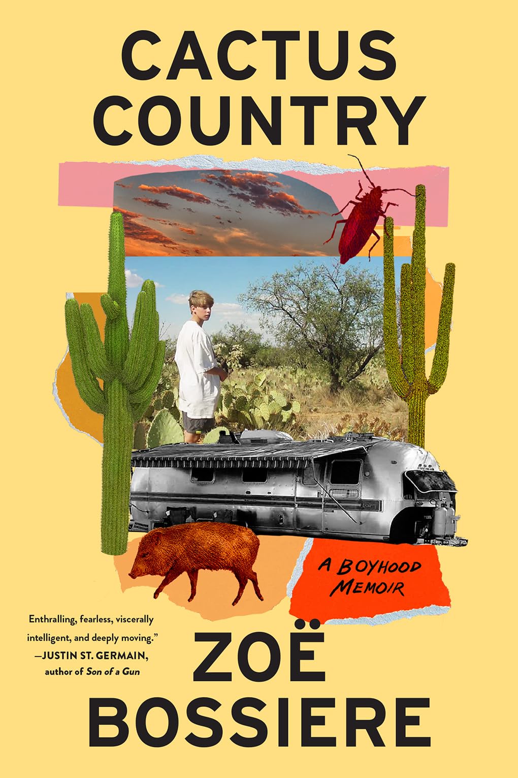 Cactus Country: A Boyhood Memoir