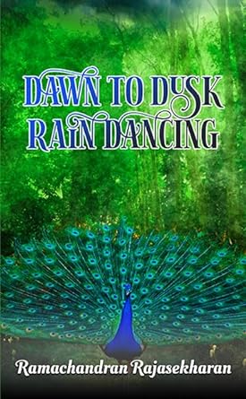Dawn To Dusk Rain Dancing