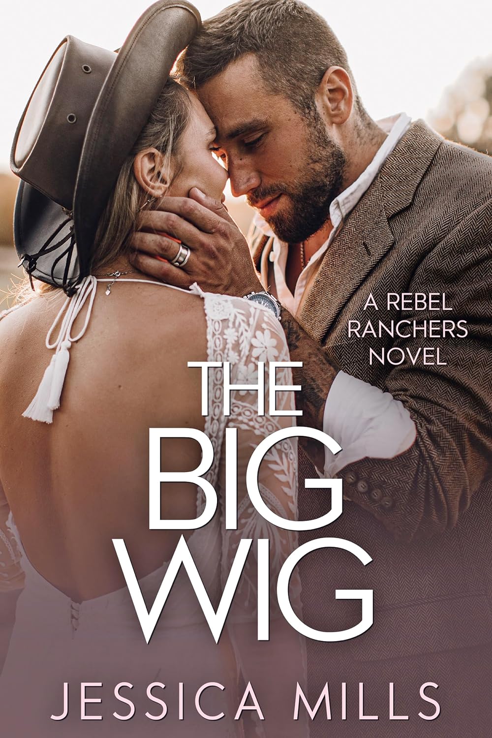 The Big Wig book cover