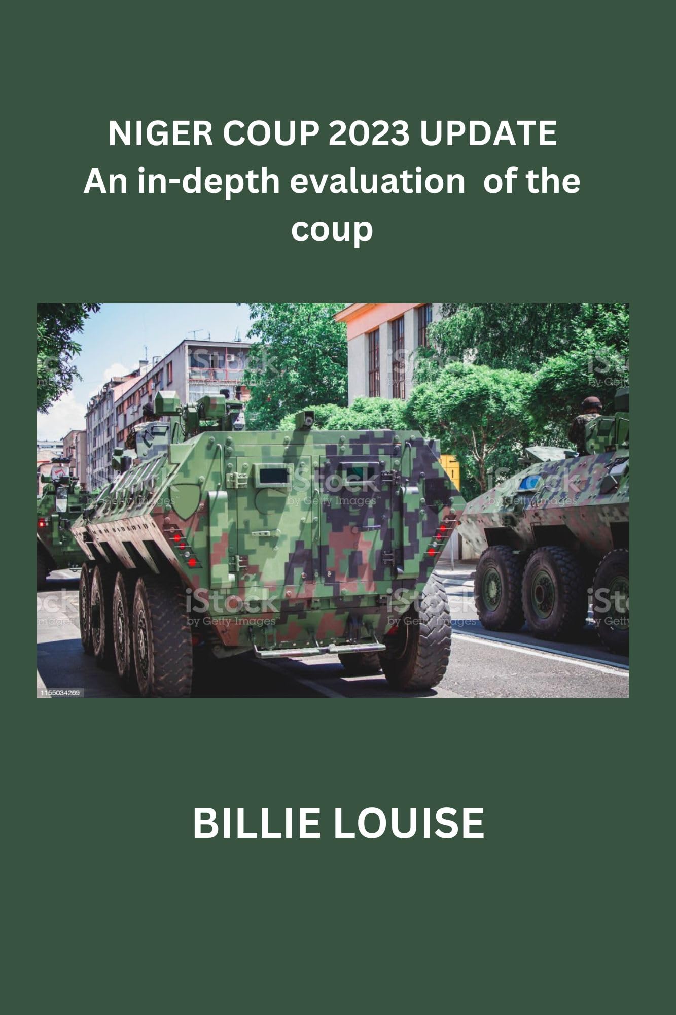 NIGER 2023 UPDATE: An in-depth evaluation of the coup by BILLIE LOUISE