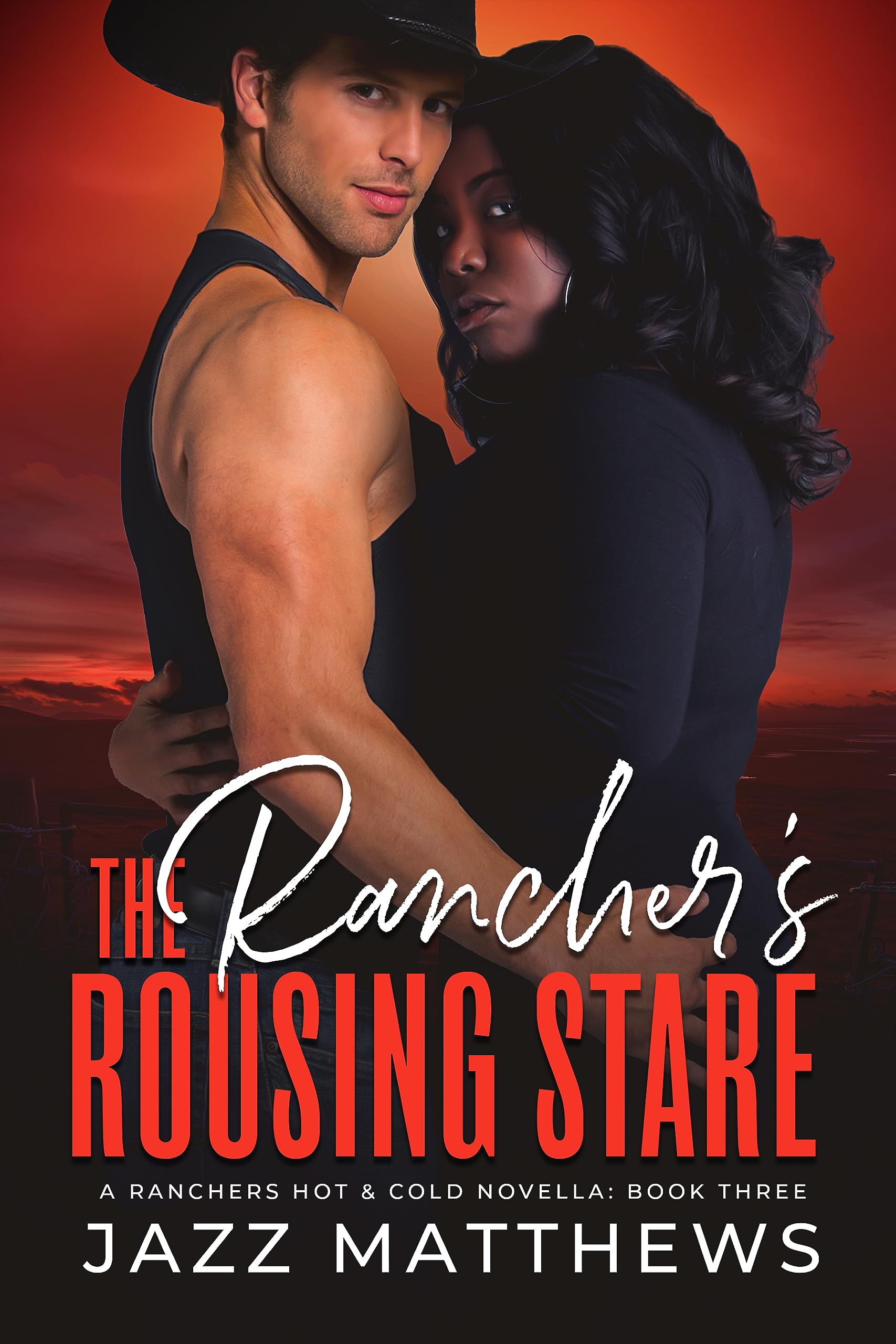 The Rancher's Rousing Stare: A Ranchers Hot & Cold Novella: Book Three