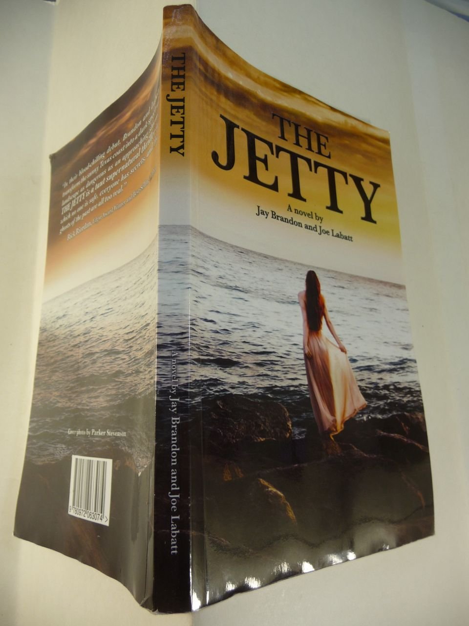 The Jetty book cover