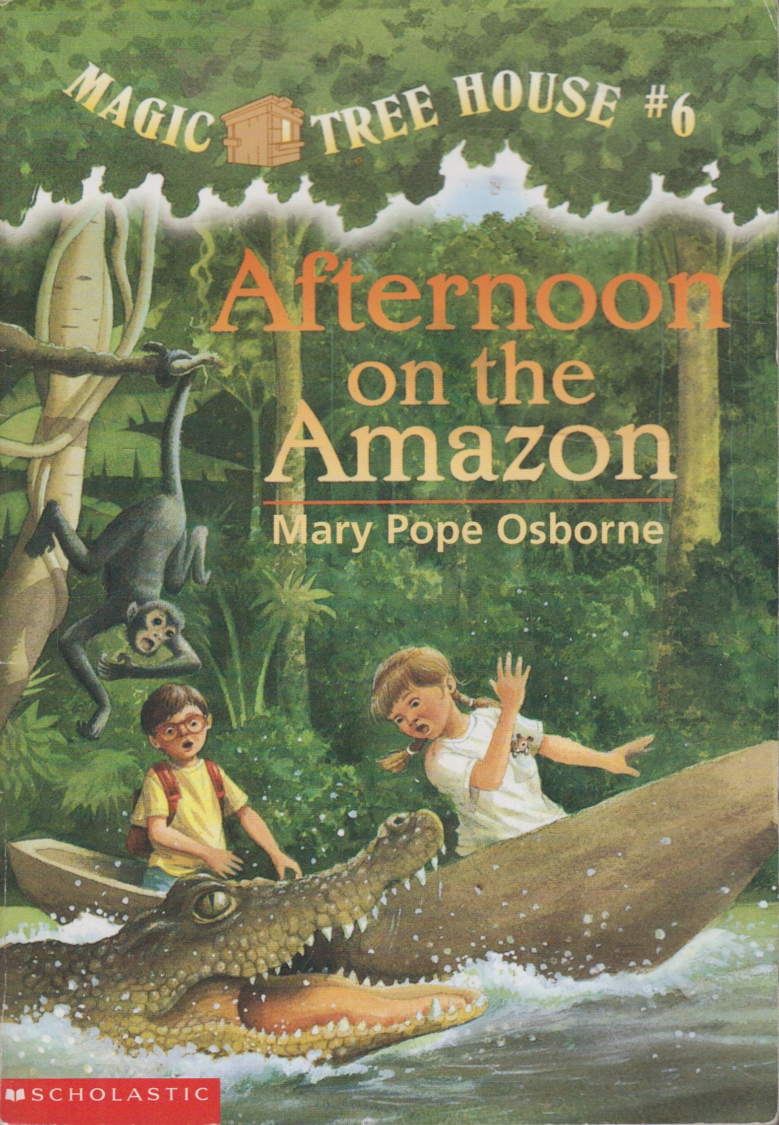 Afternoon on the Amazon [MTH #06 AFTERNOON ON THE AMAZO] book cover