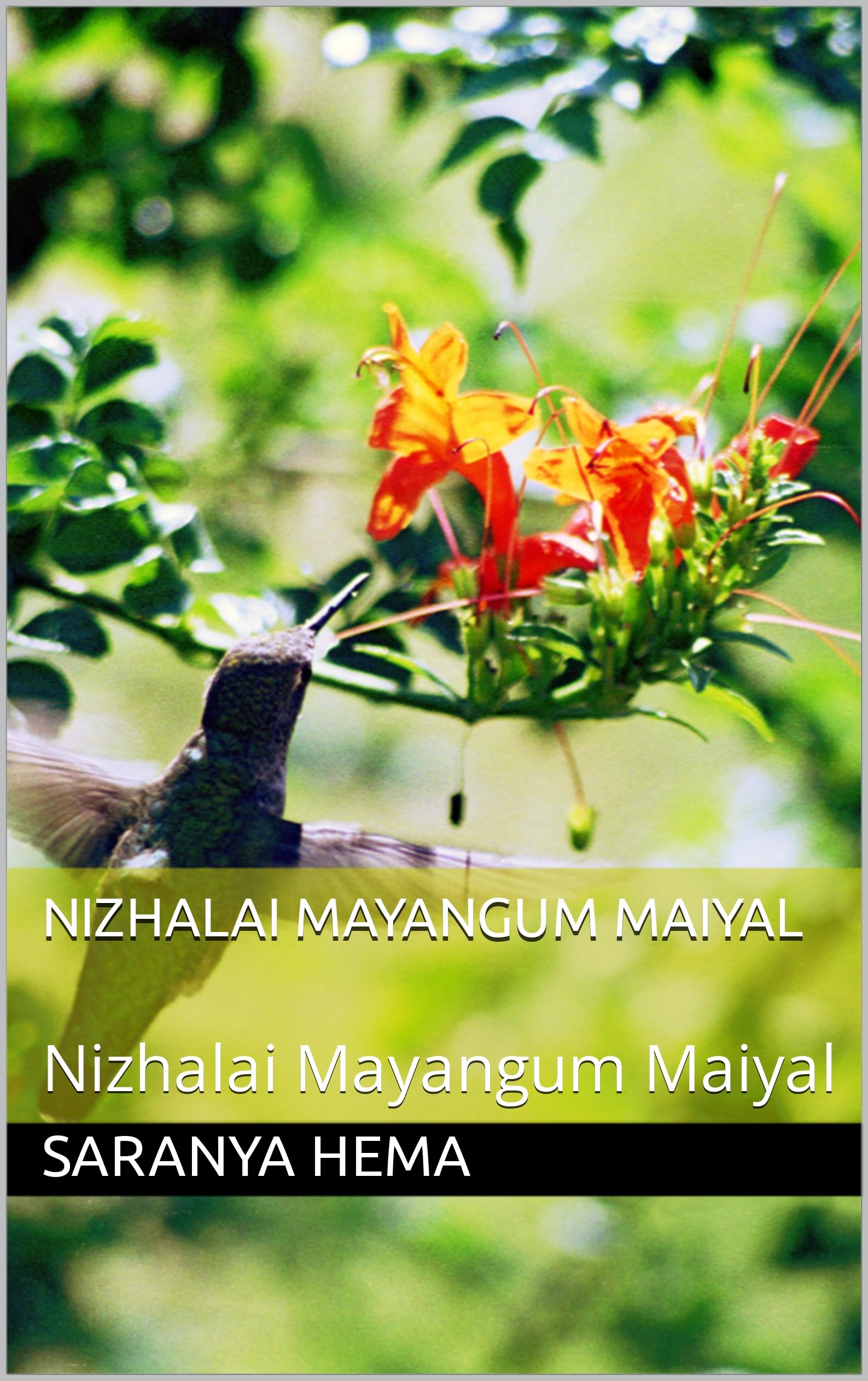 Nizhalai Mayangum Maiyal: Nizhalai Mayangum Maiyal