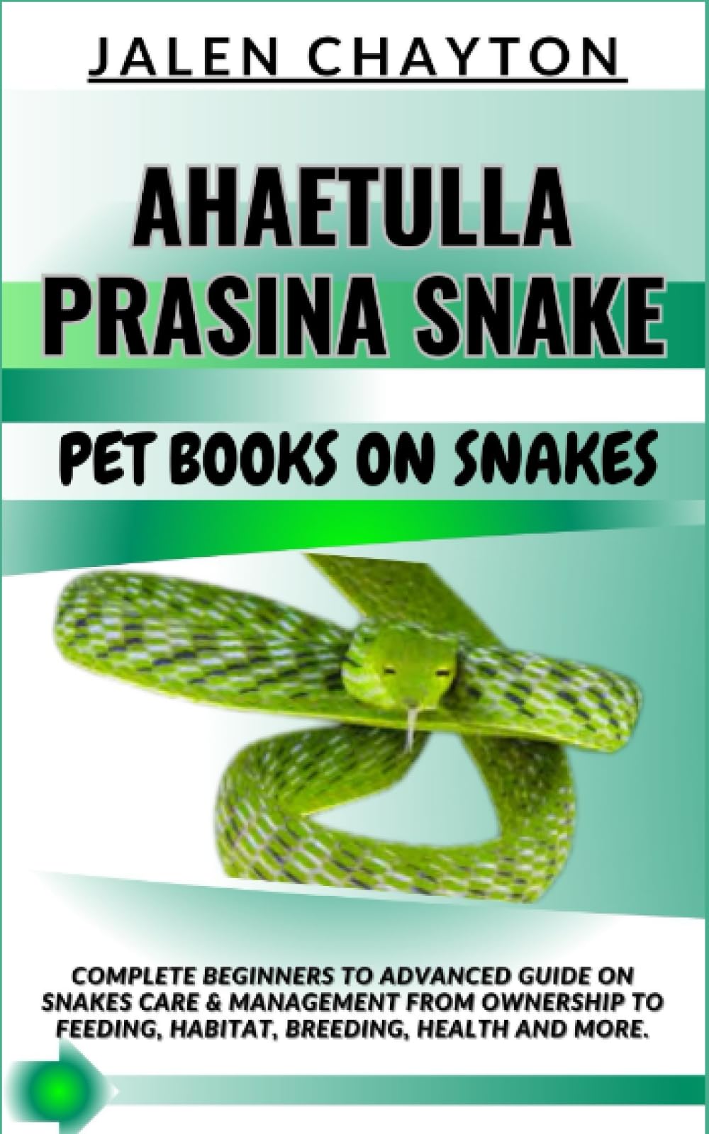 AHAETULLA PRASINA SNAKE PET BOOKS ON SNAKES: Complete Beginners To ...