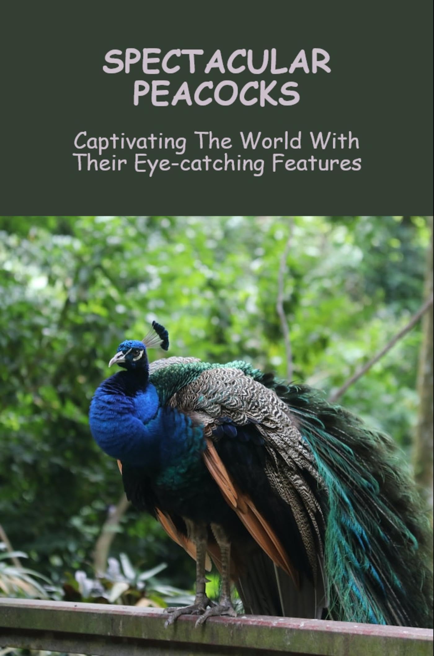 The Truth About Peacocks And Their Partners! - dk39c4z