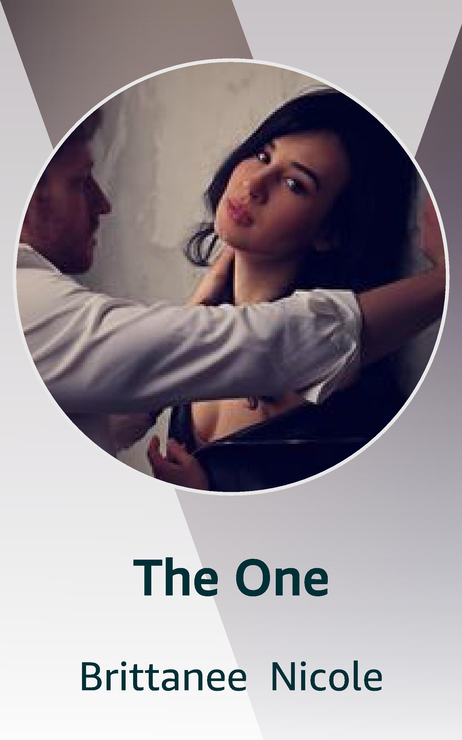 The One book cover