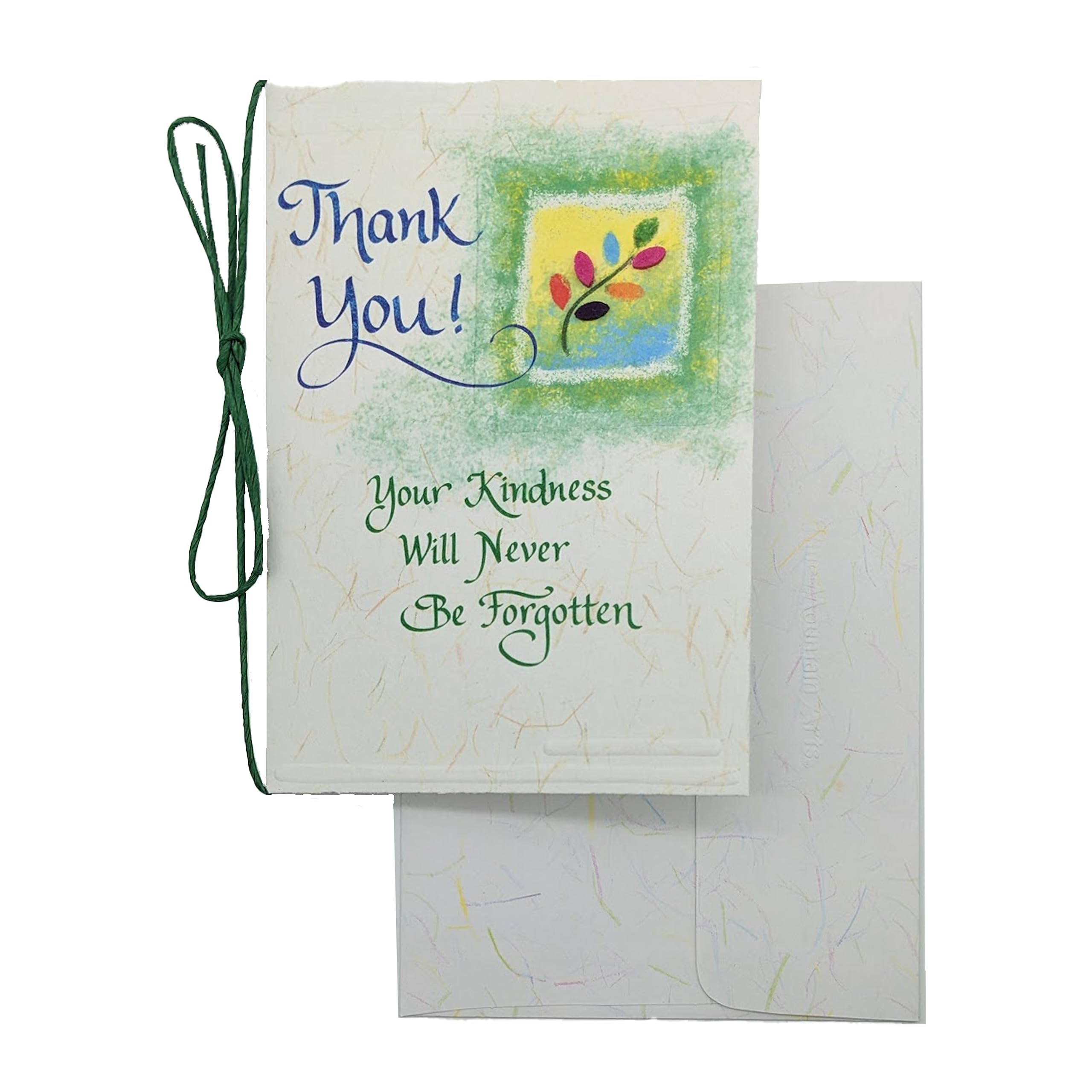 Blue Mountain Arts Appreciation Card—Thank-You Card for Someone Whose ...