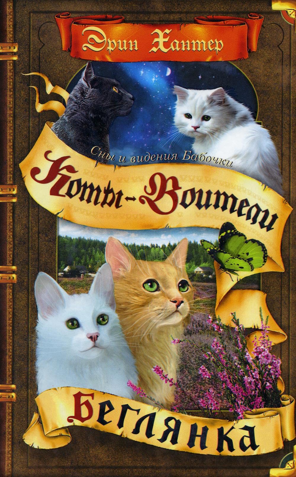 Беглянка book cover