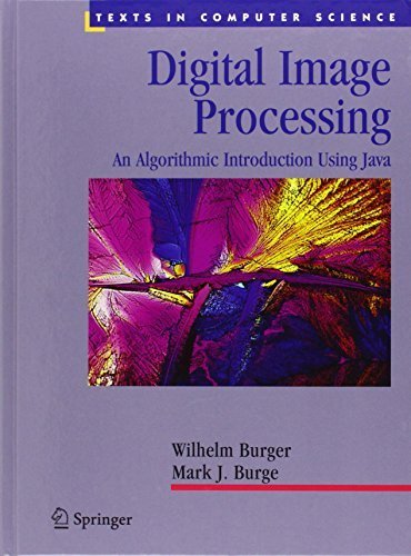 Digital Image Processing: An Algorithmic Introduction using Java 1st ...