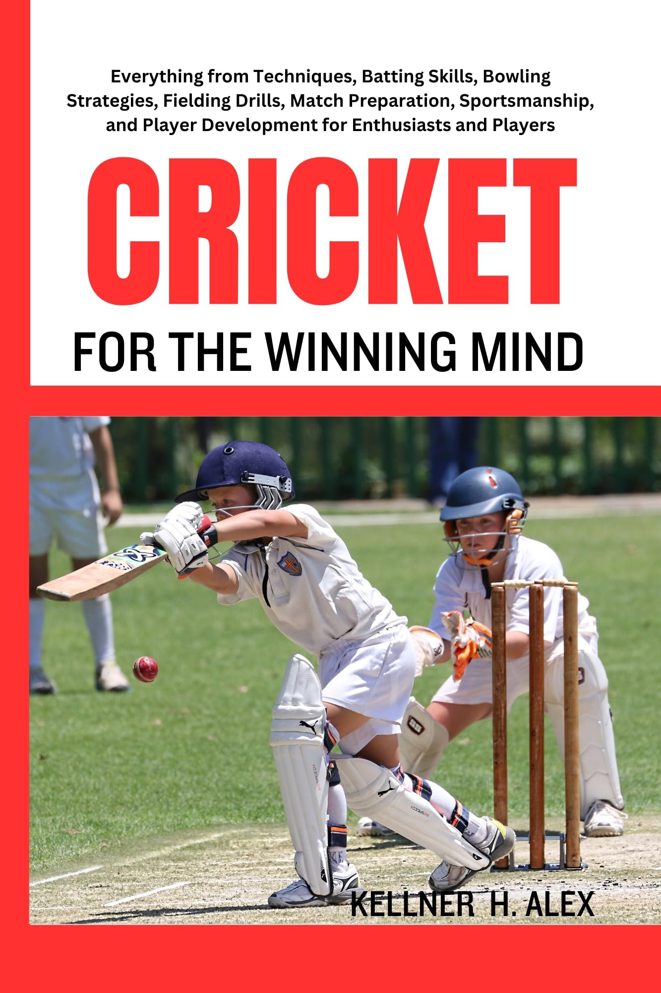 Cricketexceed The Ultimate Guide For Cricket Enthusiasts - 43qk5vp