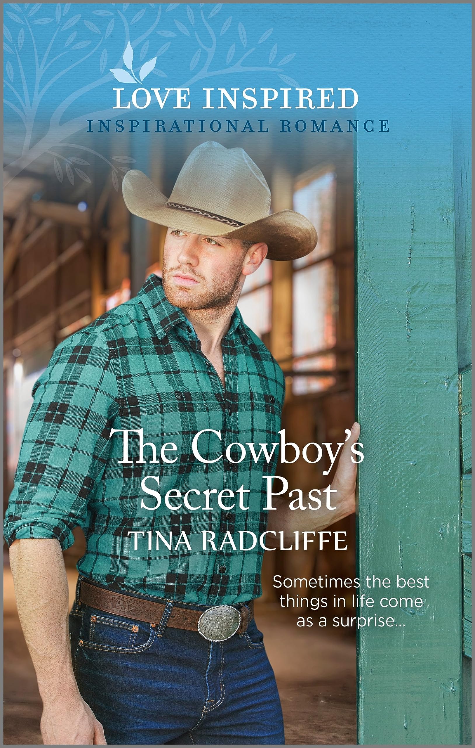 The Cowboy's Secret Past