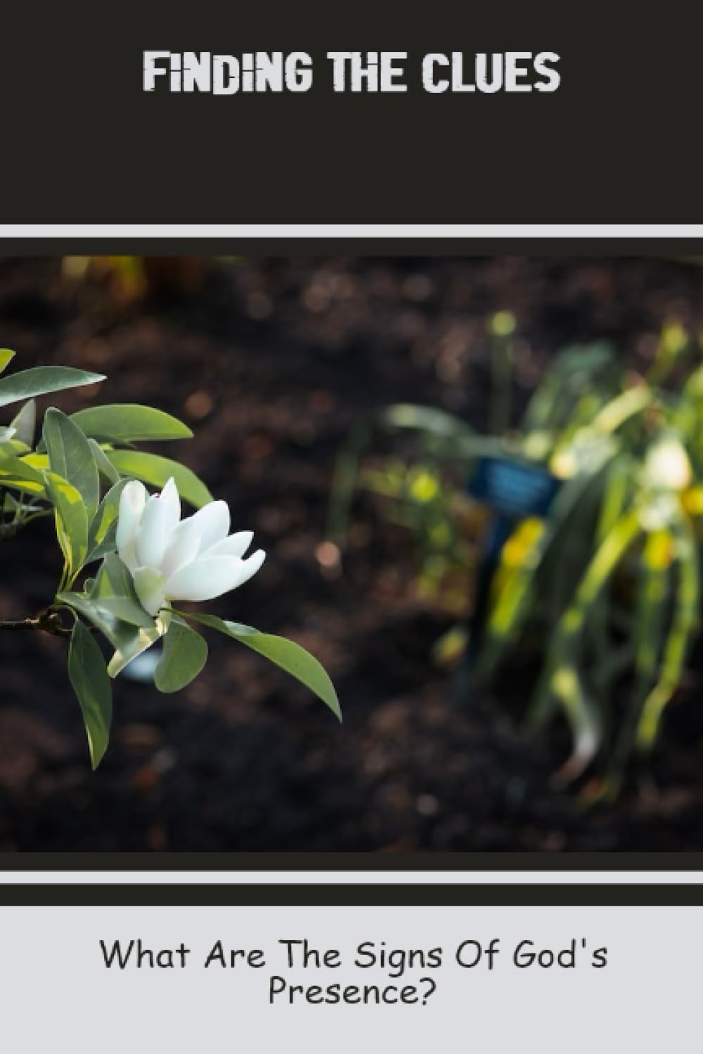 Finding The Clues What Are The Signs Of God's Presence? by Romeo