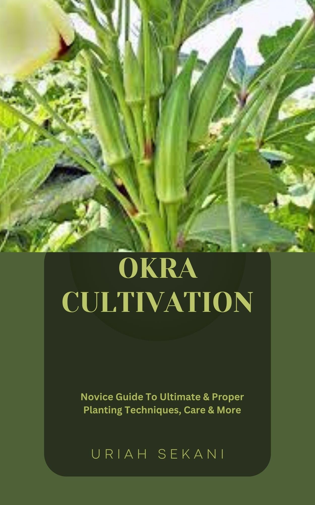 OKRA CULTIVATION Novice Guide To Ultimate & Proper Planting Techniques, Care & More by URIAH