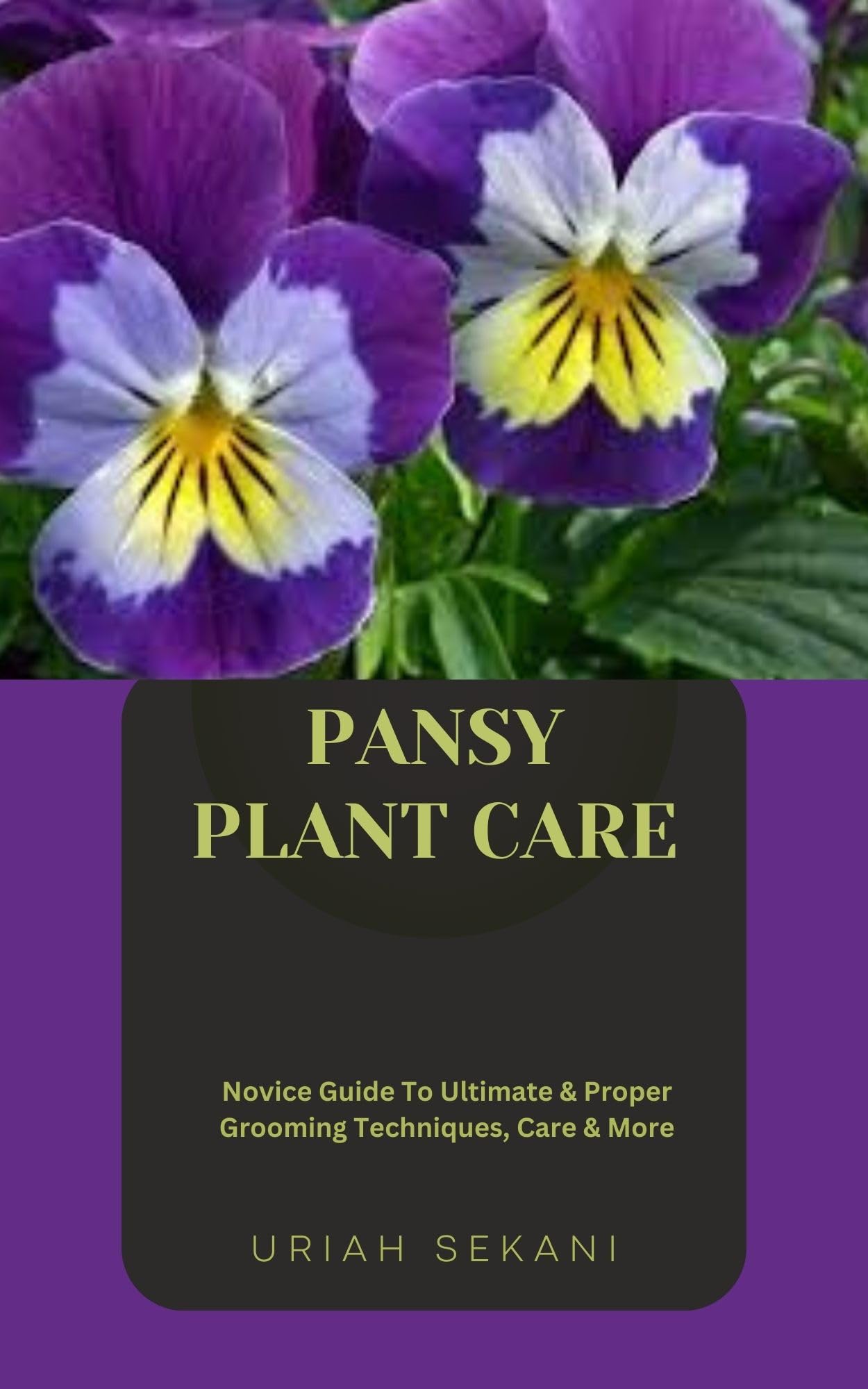 PANSY PLANT CARE Novice Guide To Ultimate & Proper Grooming Techniques
