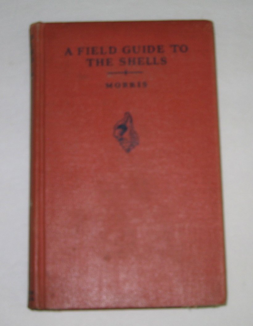 Shells Field Guide A Field Guide to the Shells of the Atlantic Coast by Percy A. Morris ...