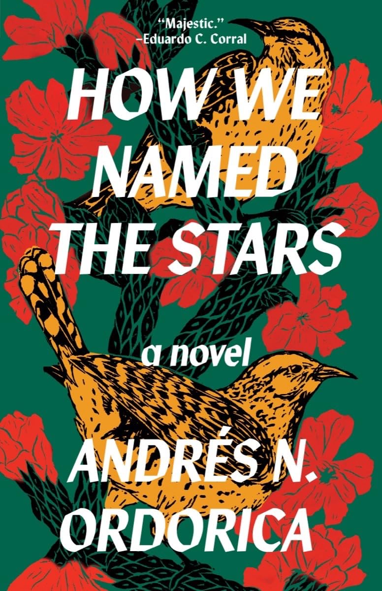 How We Named the Stars