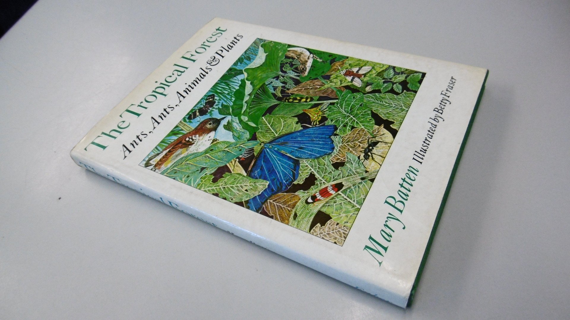 The Tropical Forest book cover