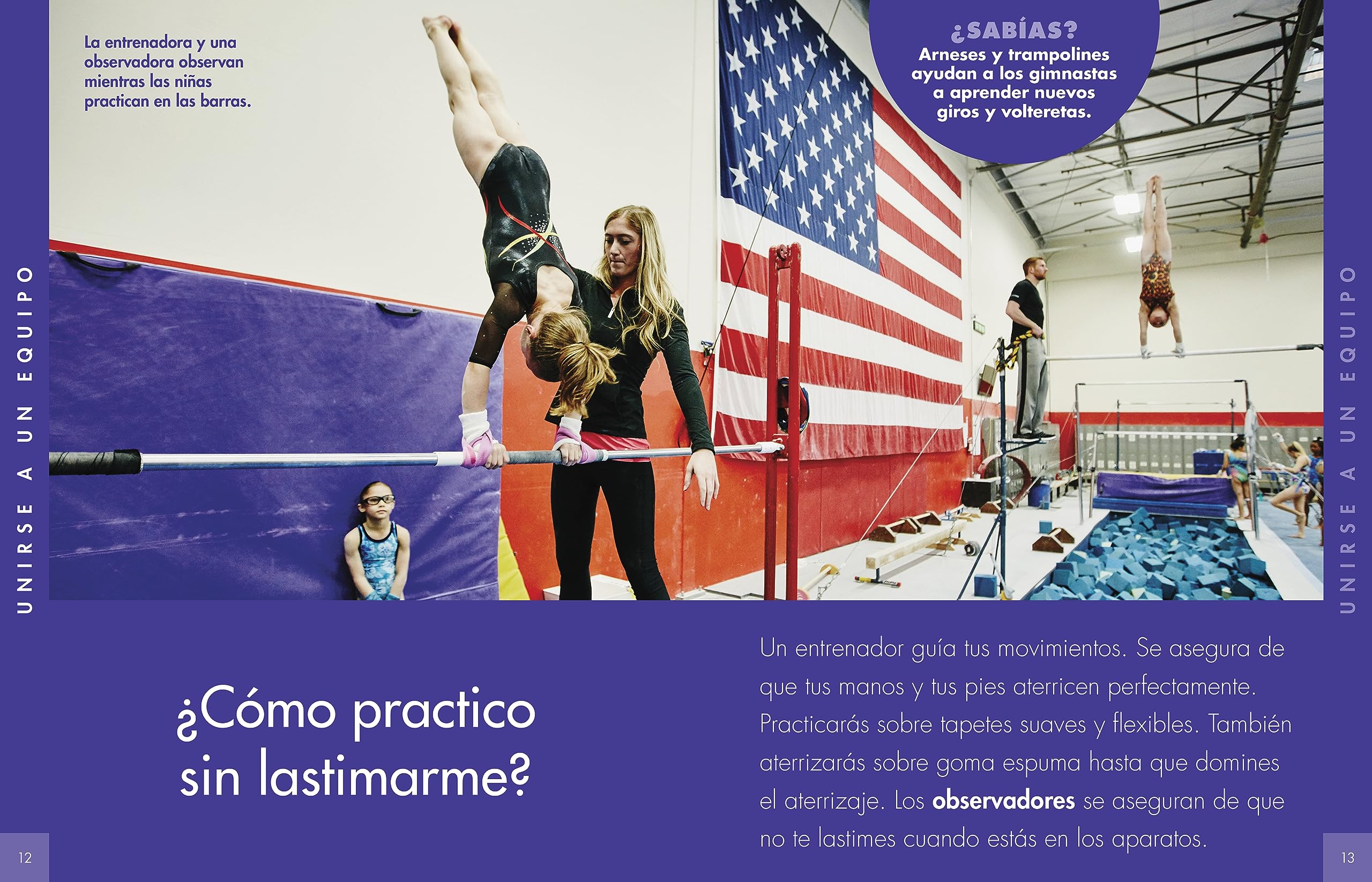 Curiosidad por la gimnasia (Curiosidad por los deportes) book cover