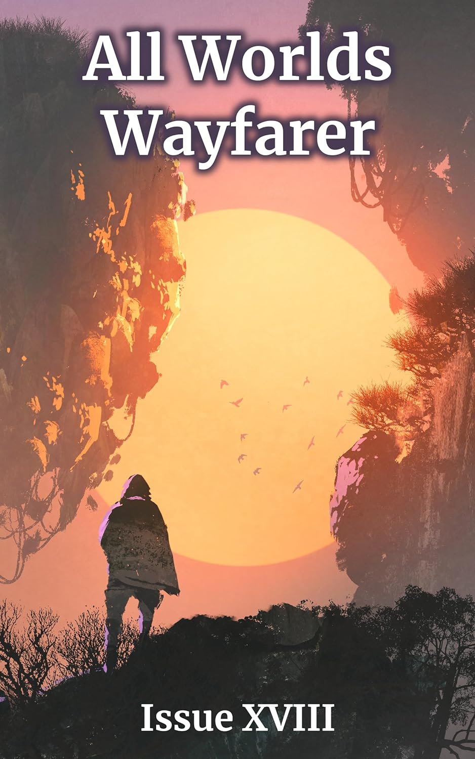 All Worlds Wayfarer: Issue 18 by Rowan Rook | Goodreads