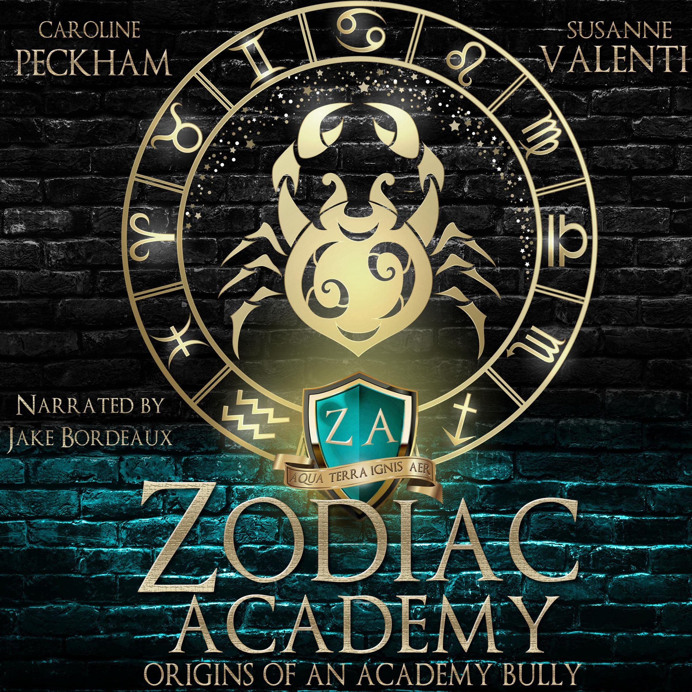 Origins of an Academy Bully (Zodiac Academy #0.5)