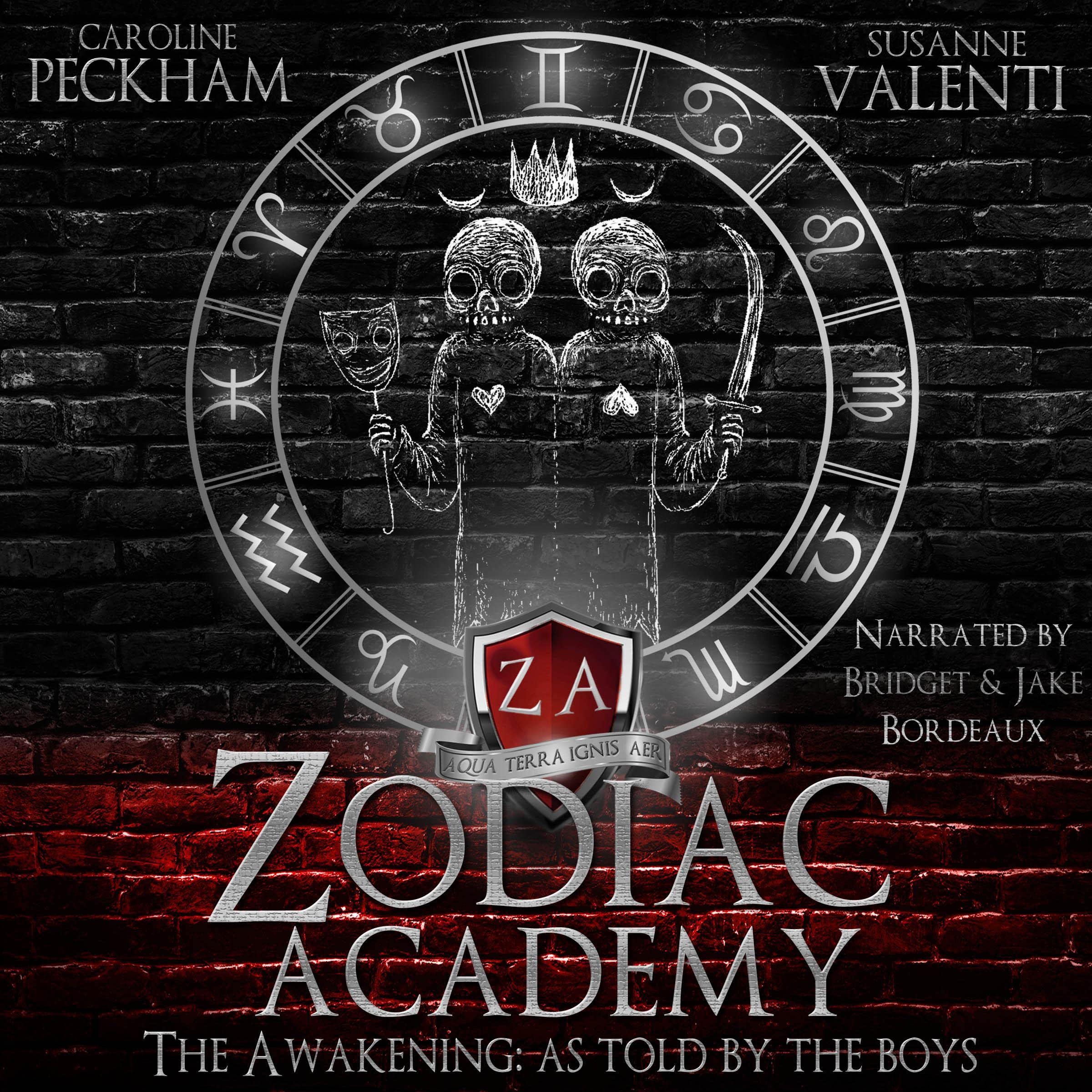The Awakening as Told by the Boys (Zodiac Academy, #1.5)