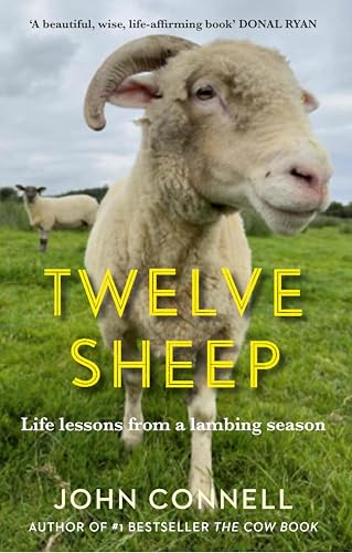 Twelve Sheep: Life lessons from a lambing season