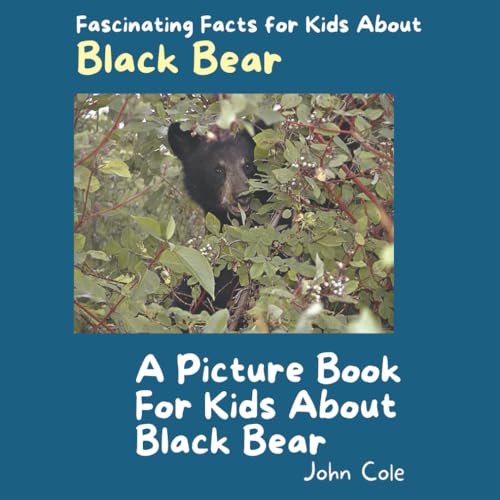 A Picture Book for Kids About Black Bear: Fascinating Facts for Kids ...