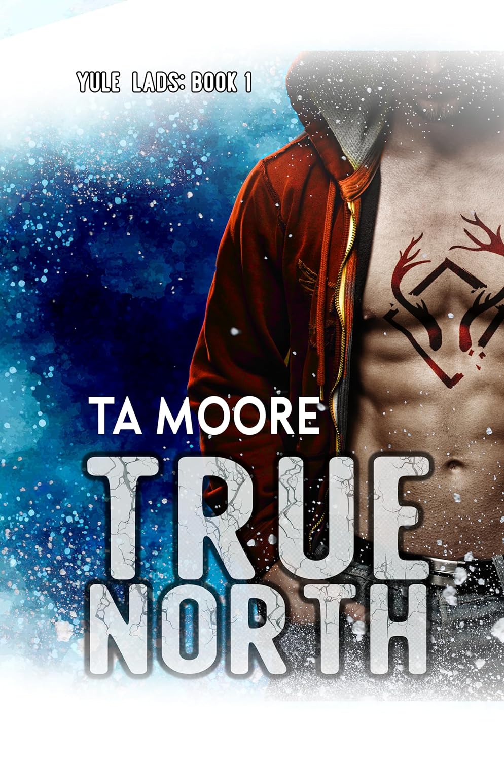 True North book cover