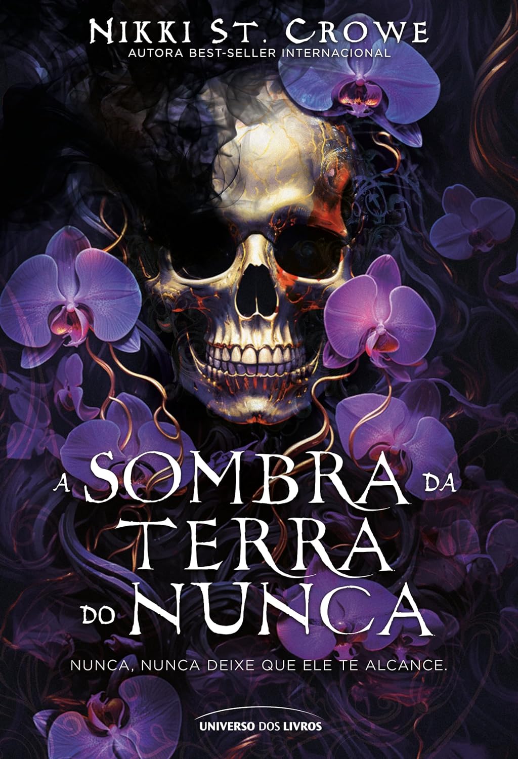 A sombra da Terra do Nunca (Vicious Lost Boys, #2)