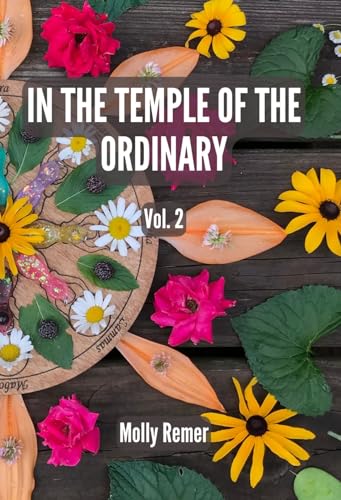 In the Temple of the Ordinary: poems of presence, volume 2