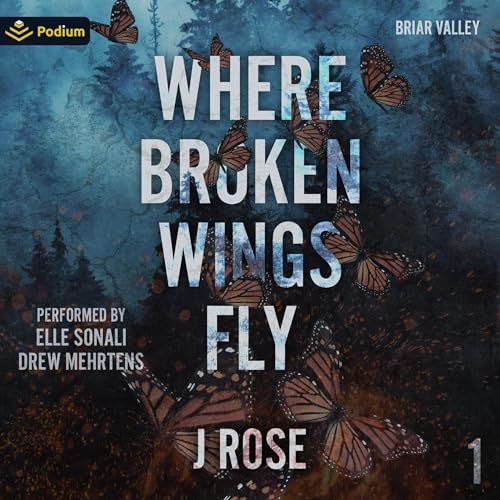 Where Broken Wings Fly (Briar Valley, #1)