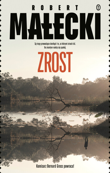 Zrost book cover