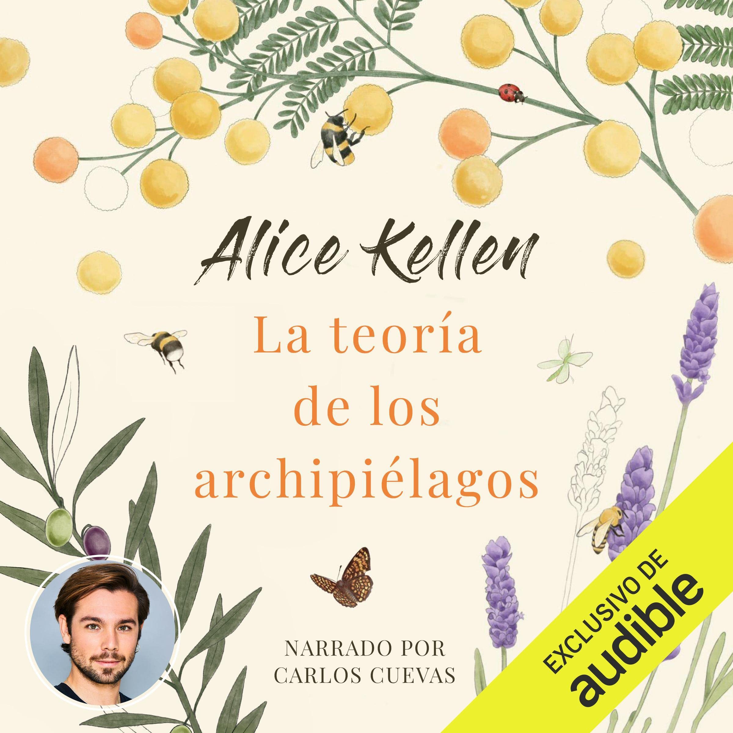 La teoría de los archipiélagos