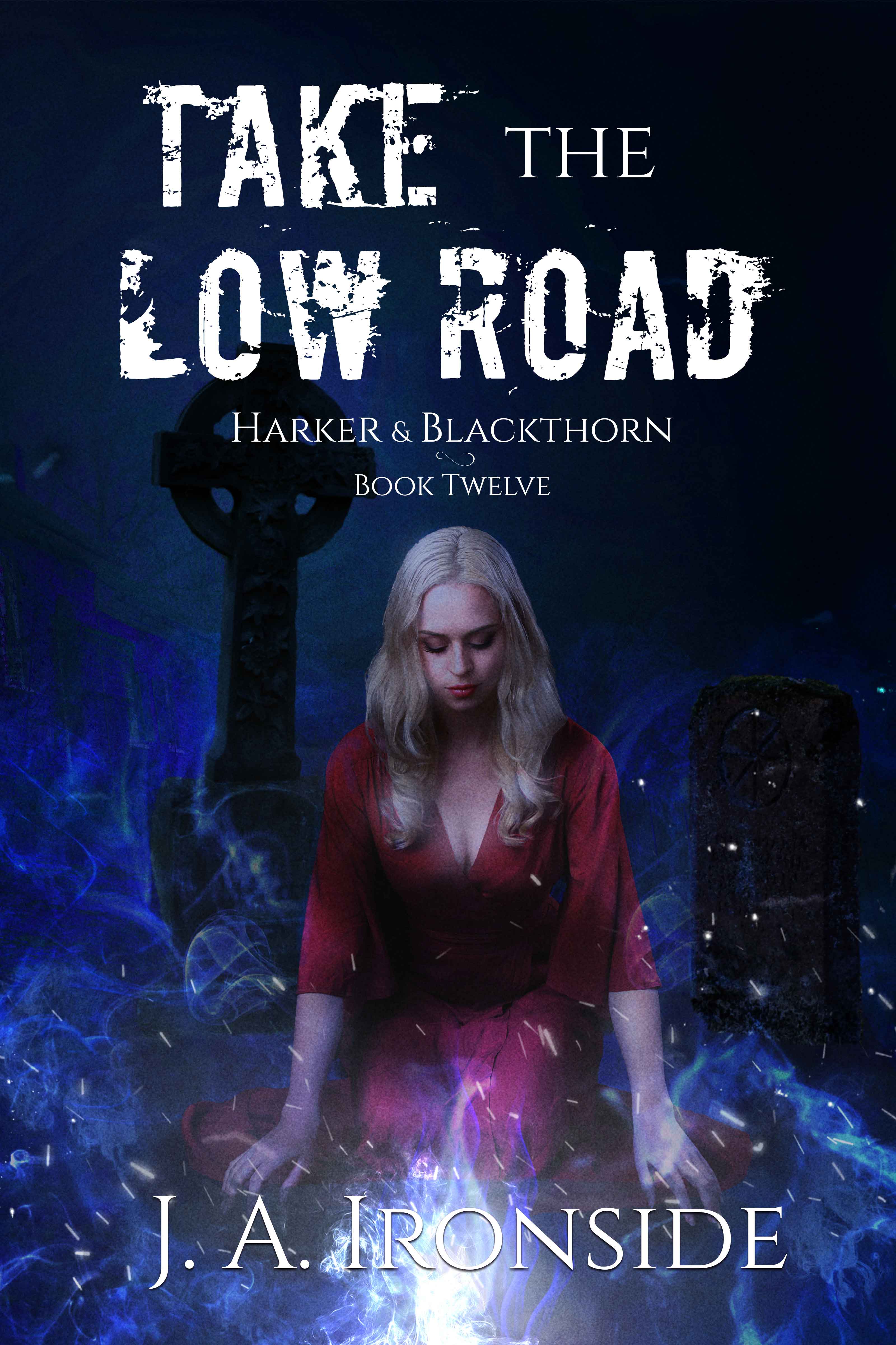 Take the Low Road book cover
