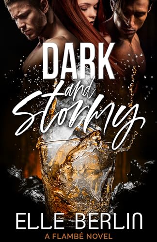 Dark and Stormy book cover