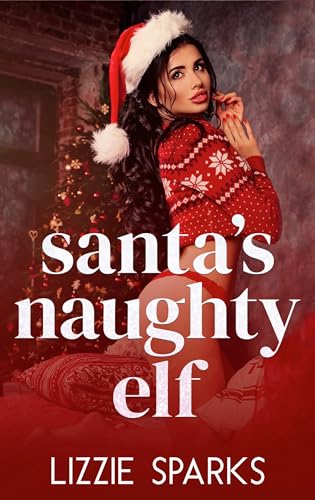 Snowed In With Santa book cover 1