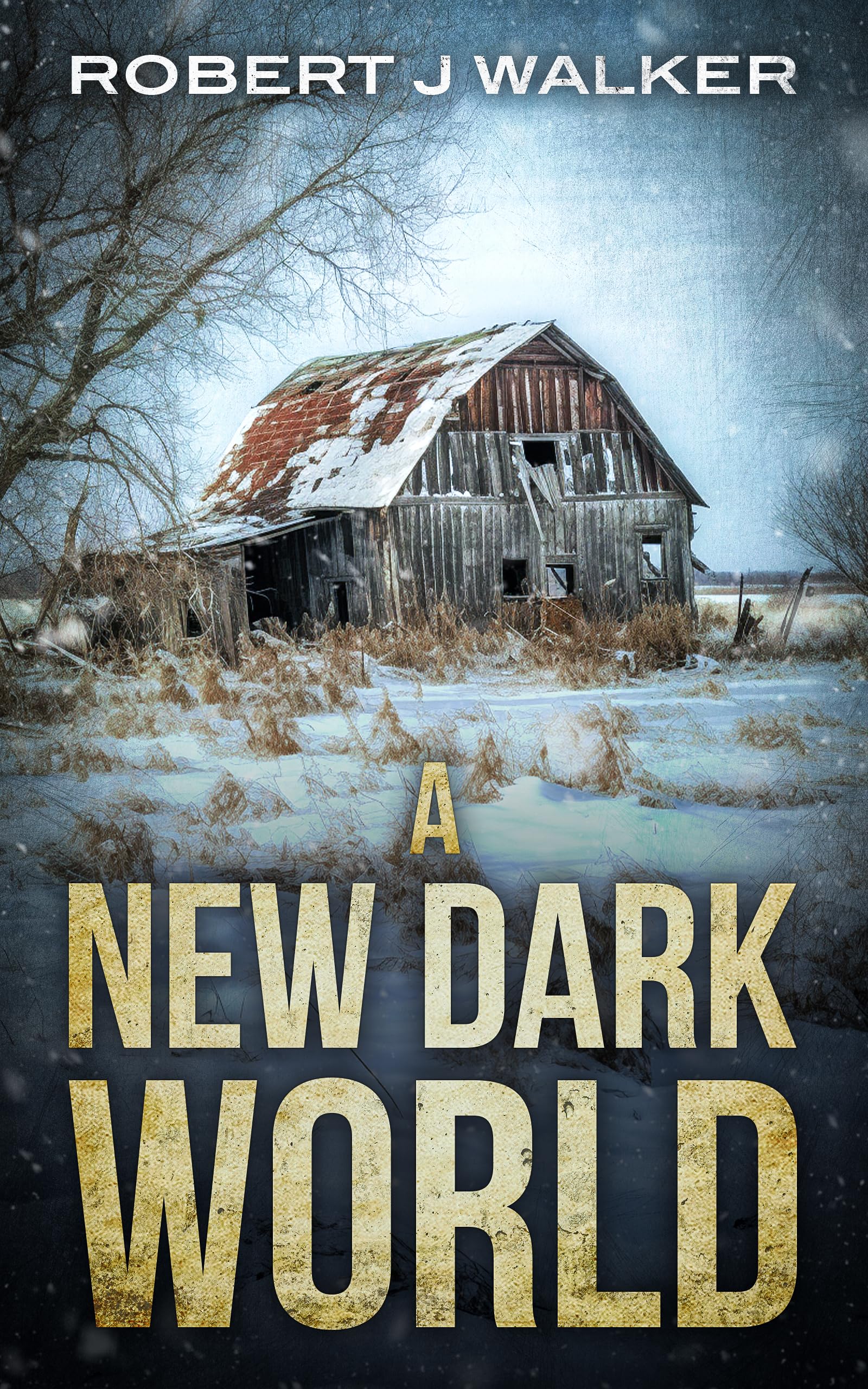 A New Dark World: A Small Town Post Apocalypse EMP Thriller Boxset