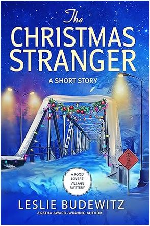 The Christmas Stranger book cover