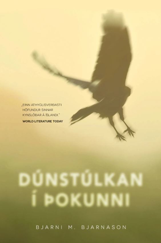 Dúnstúlkan í þokunni