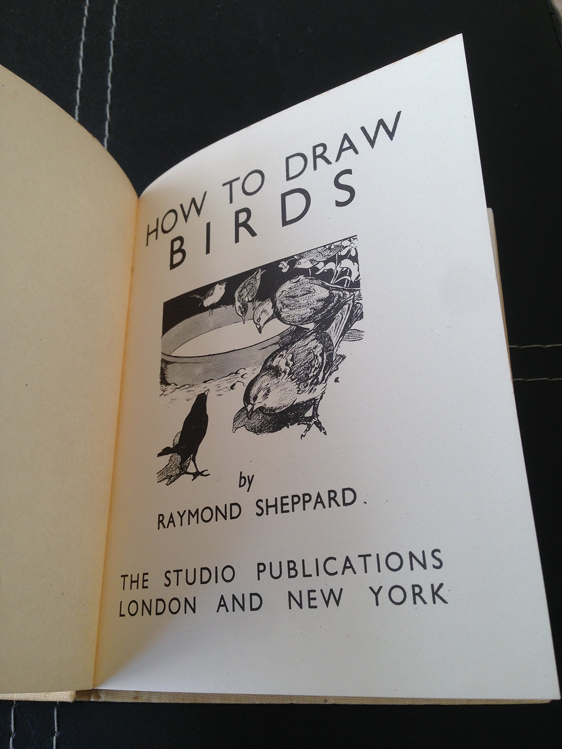 How To Draw Birds by Raymond Sheppard Goodreads