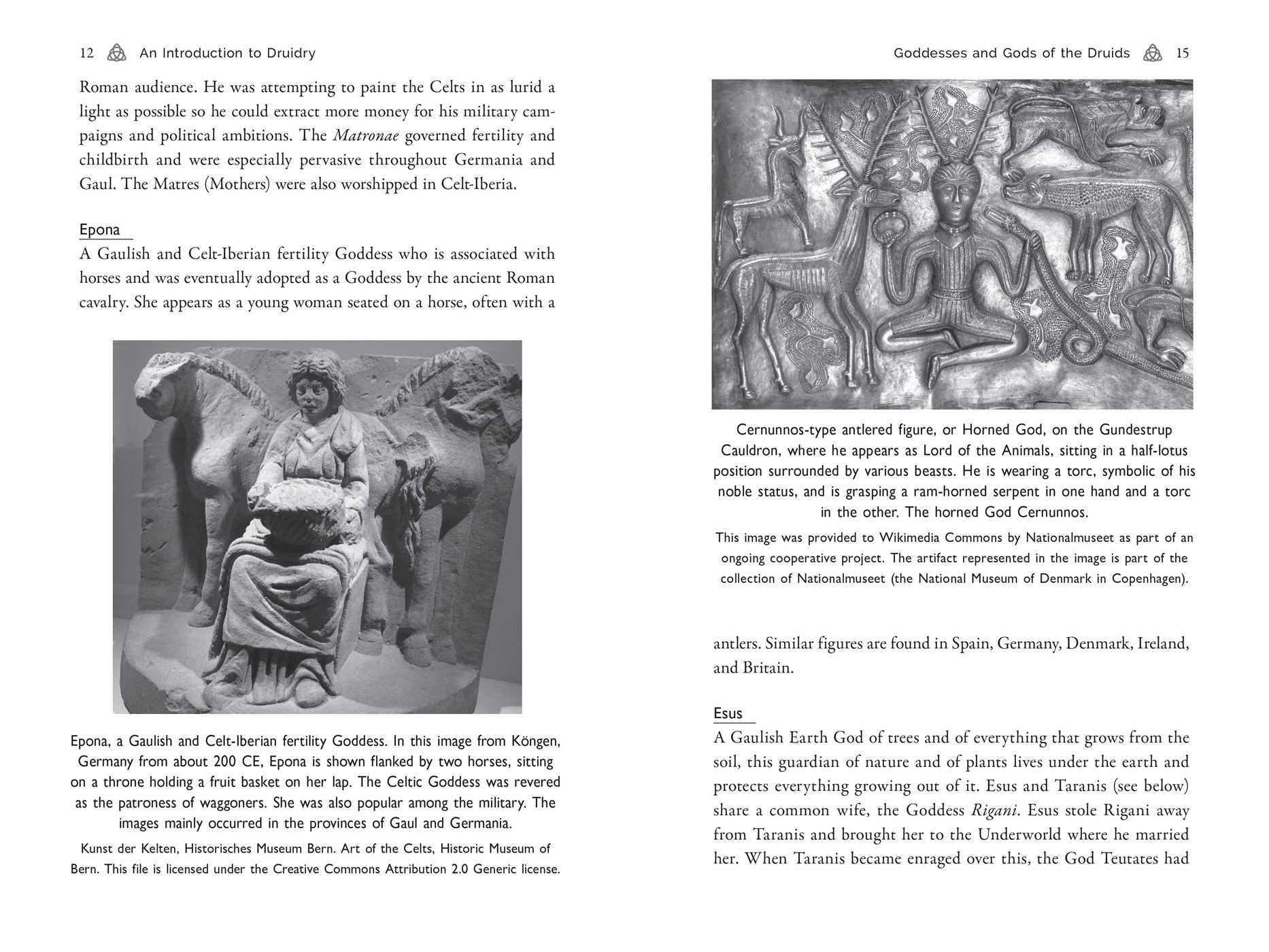 Celtic Druidry: Rituals, Techniques, and Magical Practices