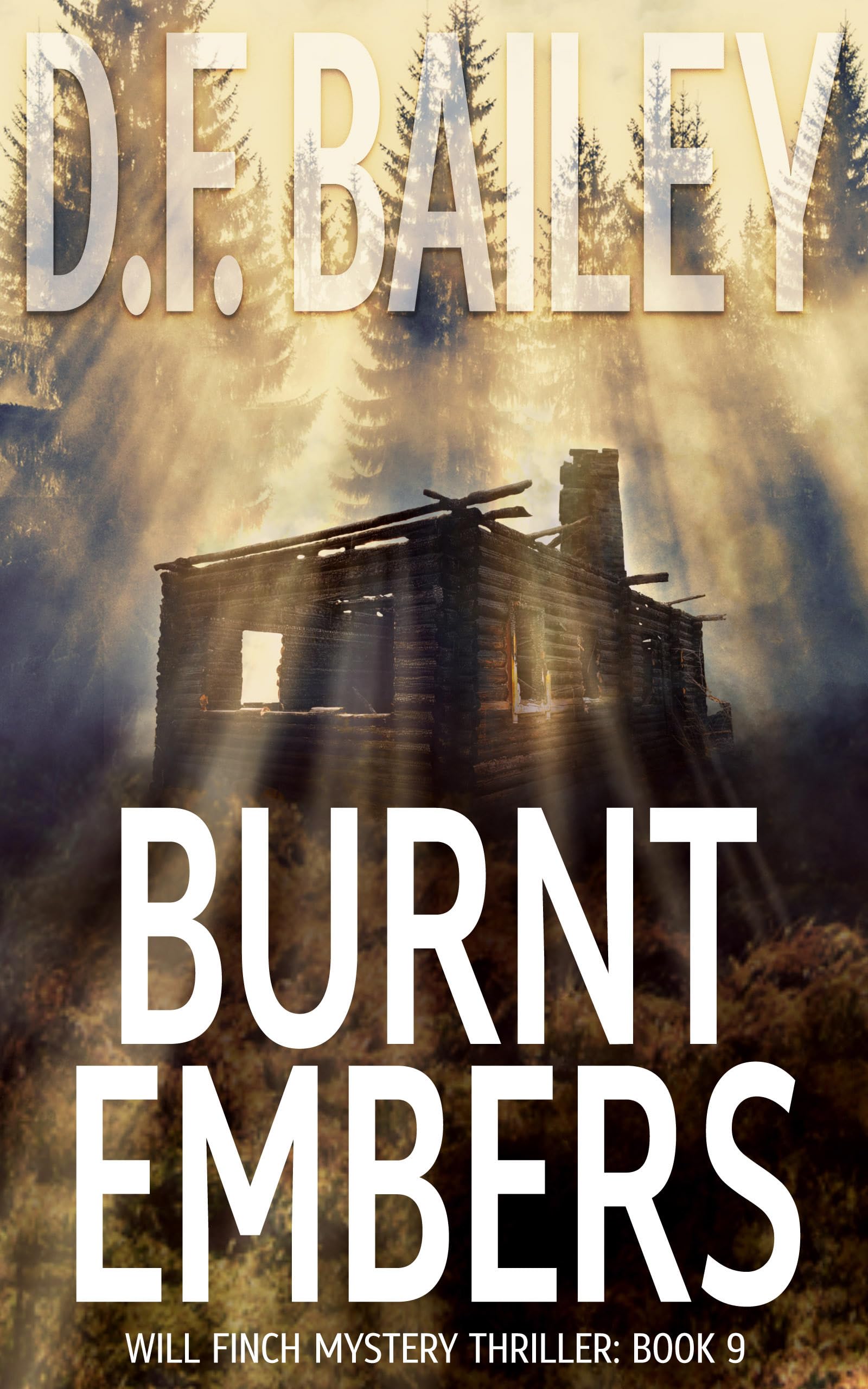 Burnt Embers: A Will Finch Mystery Thriller